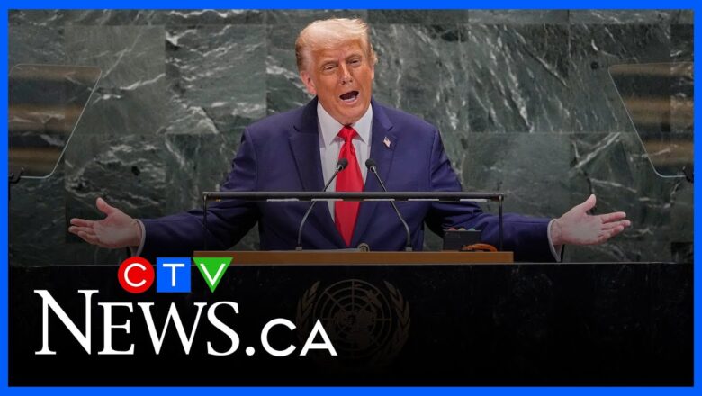 ‘Your countries are going to hell’ | Trump tells Europe to end mass migration