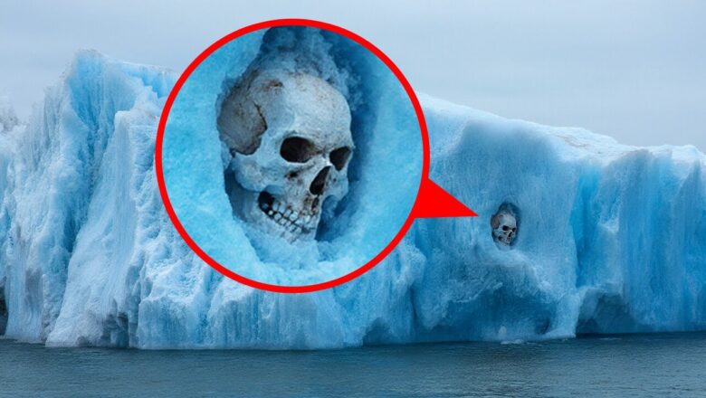 7 Finds in the Ice That Rocked the Scientific World