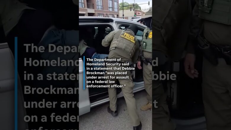 Border Patrol agents detain WGN-TV employee in Chicago