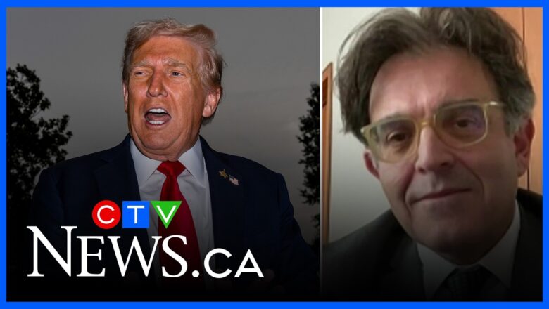 Expert explains why Ford’s anti-tariff ad against Trump ‘was not a good idea’