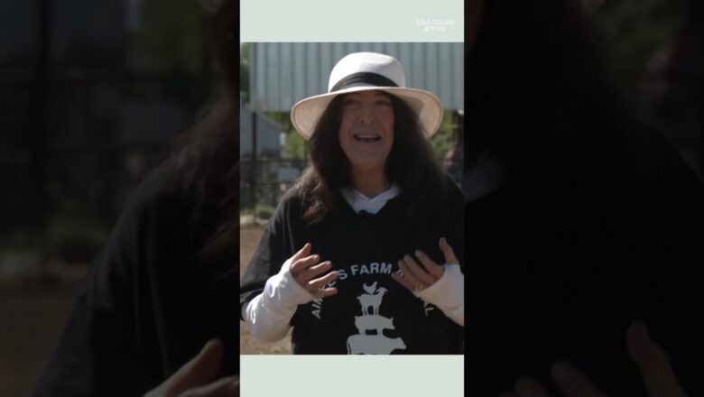 From slaughterhouse to sanctuary, see Mootilda’s incredible escape