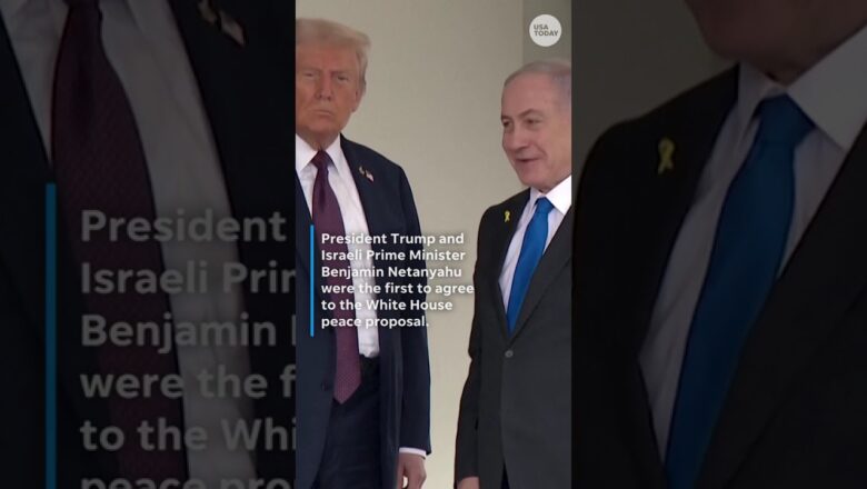 Hamas accepts part of Trump’s Gaza plan, agrees to hostage release