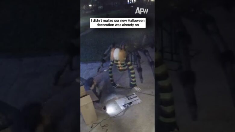 I didn’t realize our new Halloween decoration was already on