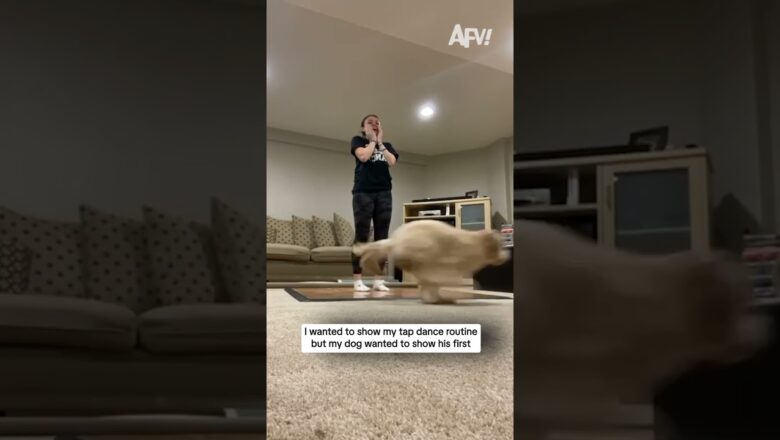 I wanted to show my tap dance routine but my dog wanted to show his first