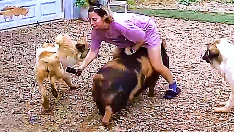 Insanity Caught on Camera | Best Fails of the Week