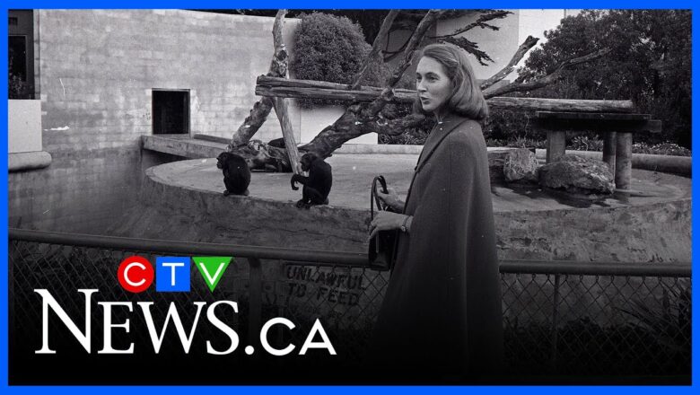 Jane Goodall dead at 91 | Looking back at the life and legacy of the primatologist