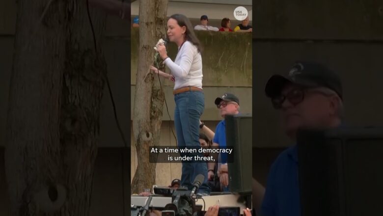 María Corina Machado awarded Nobel Peace Prize for democracy efforts