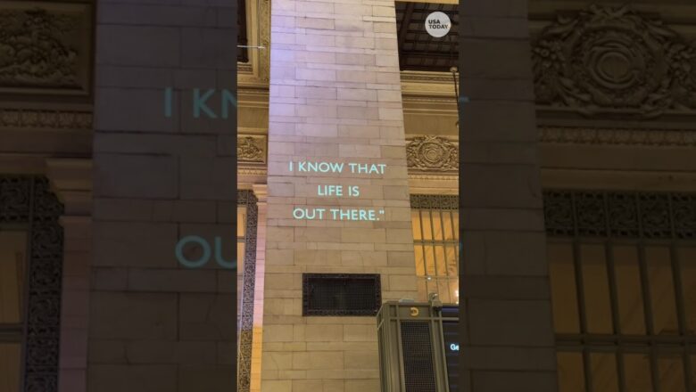 No ads, just art, Humans of New York creator transforms Grand Central