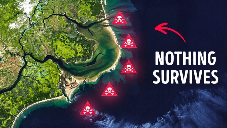 North Carolina Coast Eats Ships Alive – What’s Going On There?