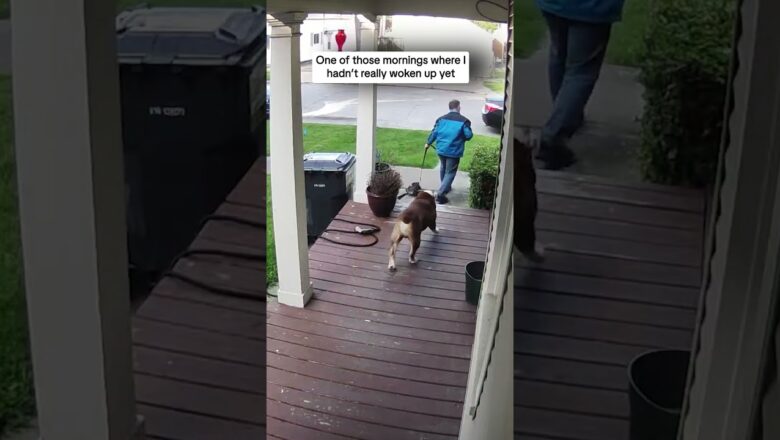 One of those mornings where I hadn’t really woken up yet