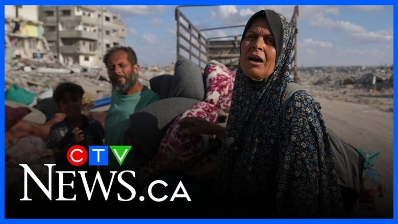 ‘People have a chance at surviving’ now that humanitarian aid can flow into Gaza, expert says