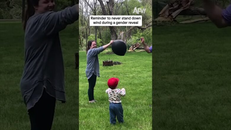 Reminder to never stand down wind during a gender reveal