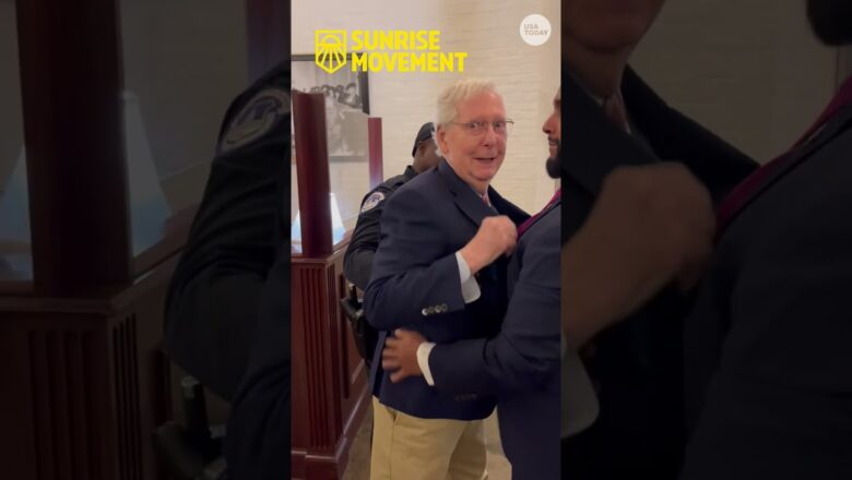 Sen. Mitch McConnell trips, falls while being confronted by ICE protester