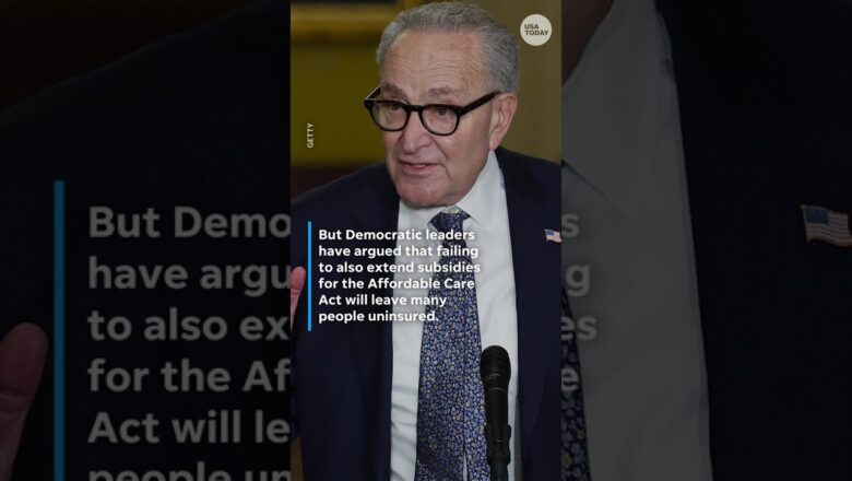 Senate rejects funding bill as a partial government shutdown looms #Shorts