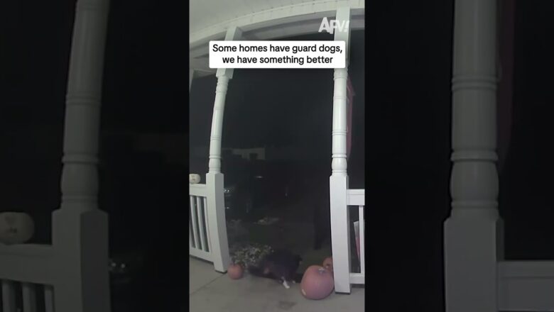 Some homes have guard dogs, we have something better