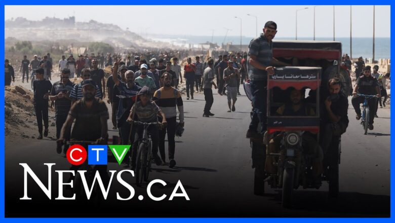 ‘Some improvement, but more can be done’ | Doctors Without Borders Canada on Gaza aid access