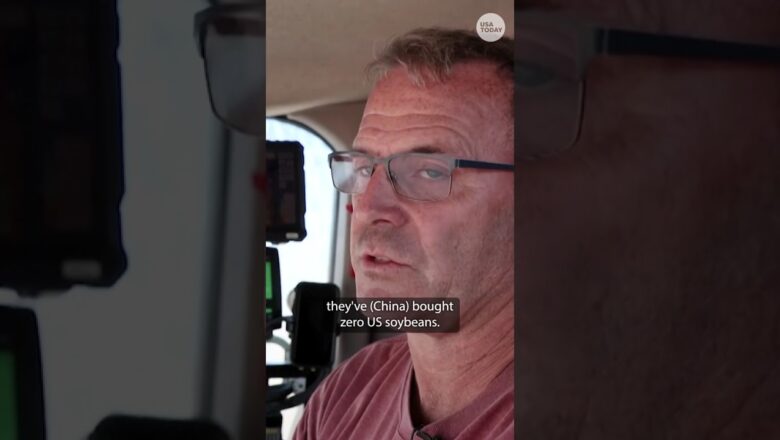 Soybean farmers hurting as effects of Trump tariffs felt across industry #Shorts