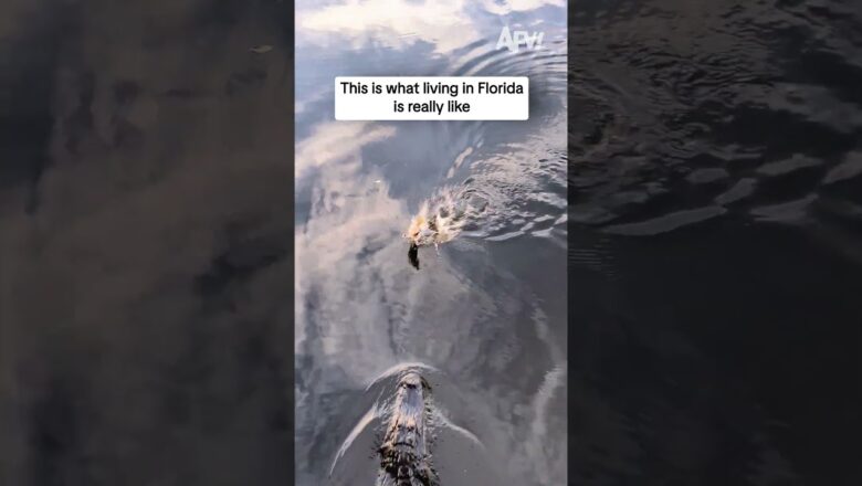 This is what living in Florida is really like