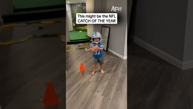 This might be the NFL CATCH OF THE YEAR