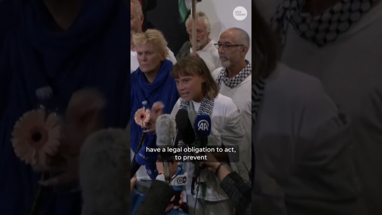 Trump calls Swedish activist Greta Thunberg ‘so crazy’