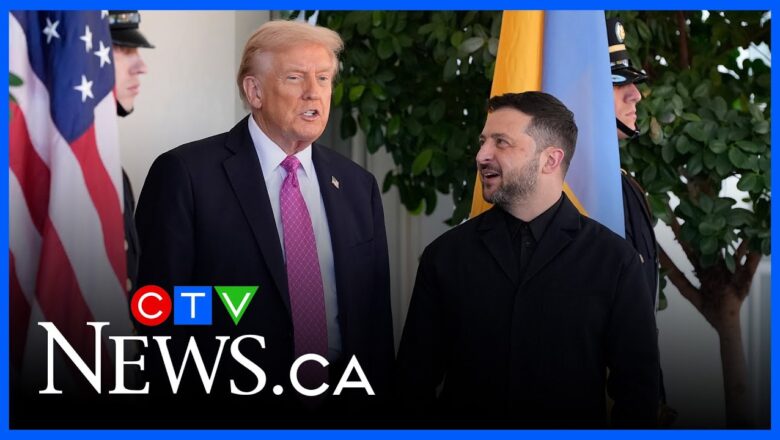 Trump greets Zelenskyy at the White House