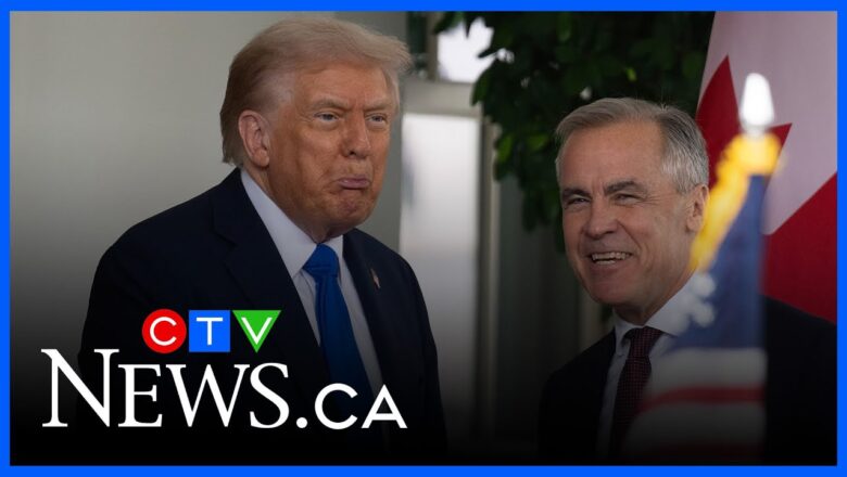 Trump ‘is a little bit of a buffoon’ | Expert talks latest Canada-U.S. trade talk breakdown