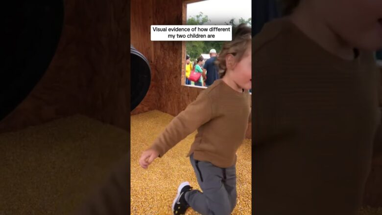 Visual evidence of how different my two children are