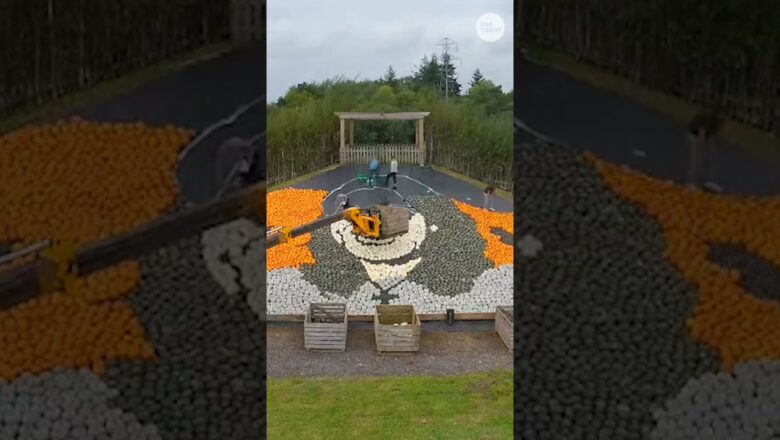 Watch Ozzy Osborne get a gourd-sized salute from farm #Shorts