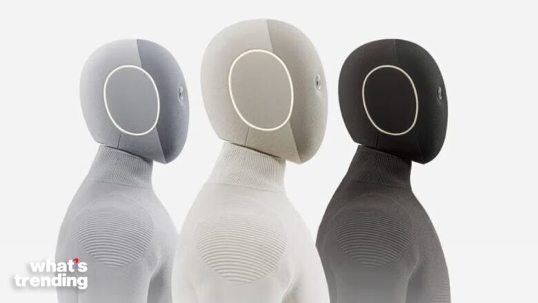Why Critics Question the $20K Robot That Does Chores
