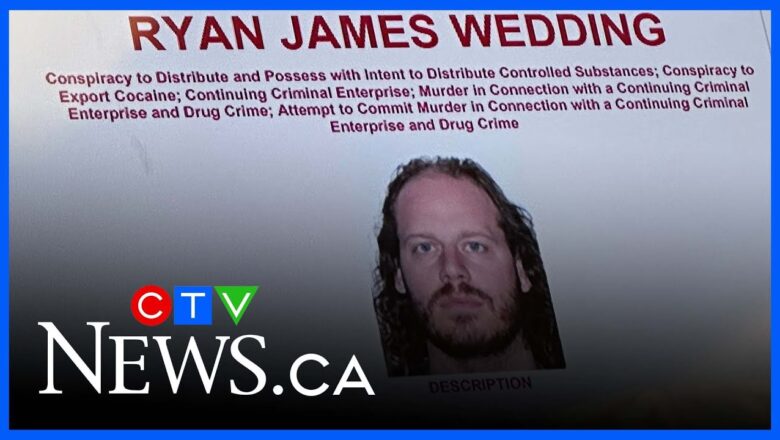 ‘A ‘Breaking Bad’ feeling to it’ | Former Canadian Olympian listed top-10 in FBI’s most wanted