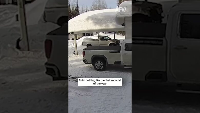AFV Short Form 102025 Clip 21 “Yeah, so can’t make it into work today” ๐จ๏ธ #afv #fail #funny