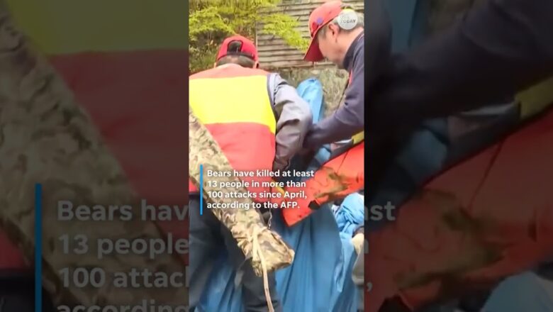 American travelers warned of increased bear attacks in Japan