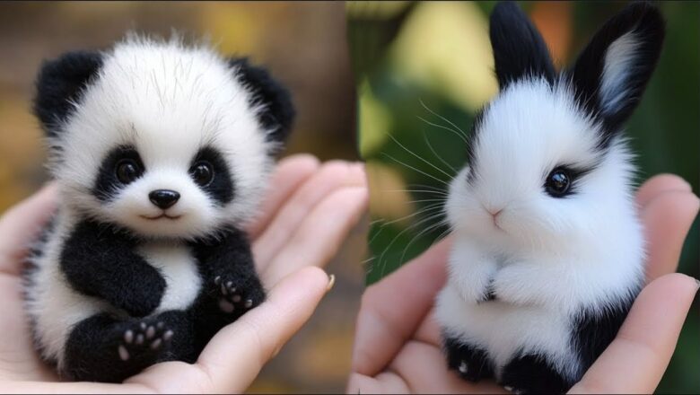 AWW Animals SOO Cute! Cute baby animals Videos Compilation cute moment of the animals #22 2025