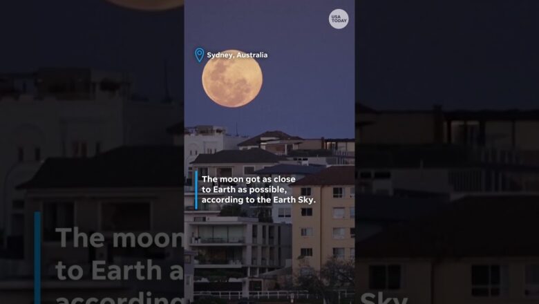 ‘Beaver Moon’ marks largest supermoon of 2025 #Shorts