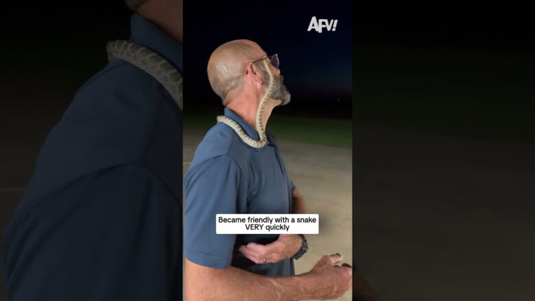Became friendly with a snake VERY quickly
