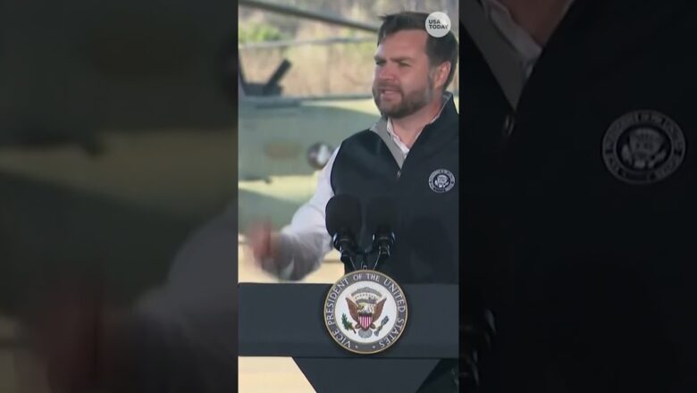‘Chicken is good all the time.’ Vice President JD Vance roasts Thanksgiving staple
