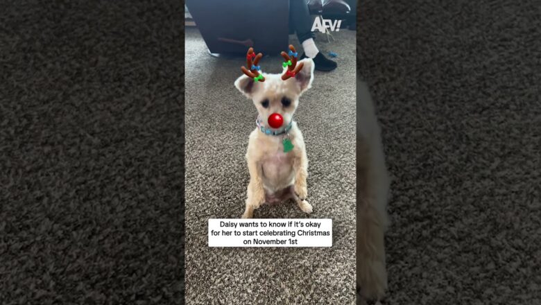 Daisy wants to know if it’s okay for her to start celebrating Christmas on November 1st
