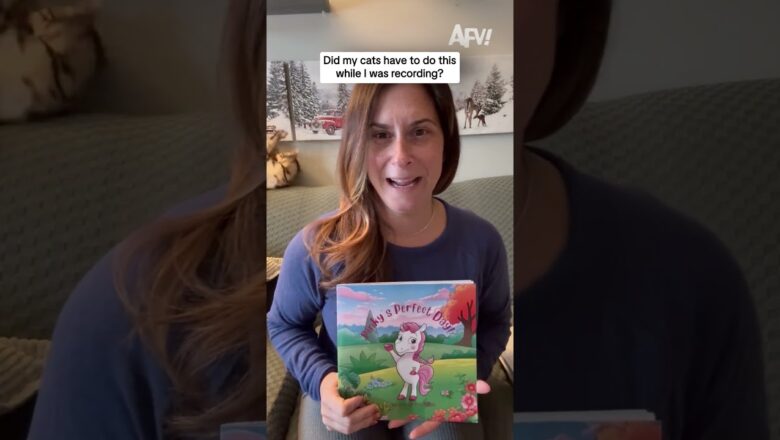 Did my cats have to do this while I was recording?