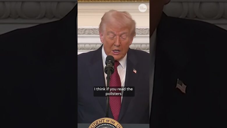 Donald Trump suggests shutdown to blame for Republican election losses