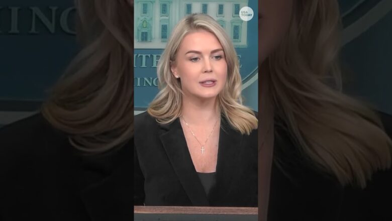 ‘Frank and honest.’ White House defends Trump’s ‘piggy’ comment