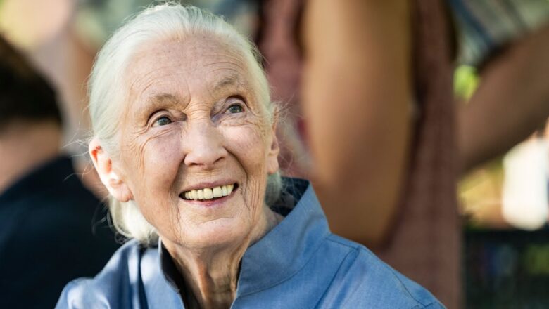 Funeral held for renowned primatologist Jane Goodall at Washington National Cathedral