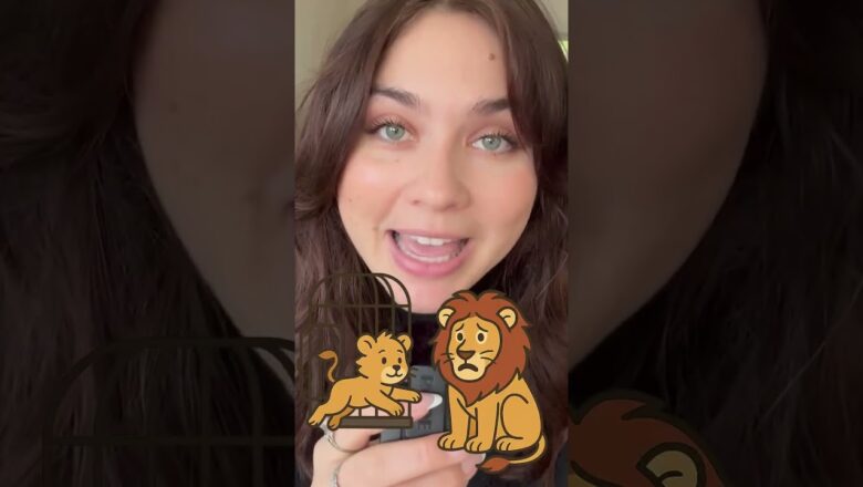 Here’s how ‘Wicked’ and ‘Wizard of Oz’ connect