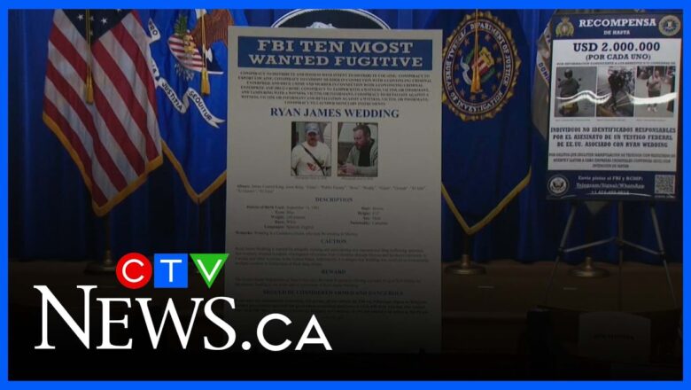 ‘Incentive’ for the public to find Ryan Wedding is US$15 million reward: former FBI agent