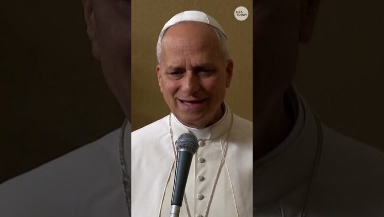 Is Pope Leo a cinephile? Here are his 4 favorite movies.#Shorts