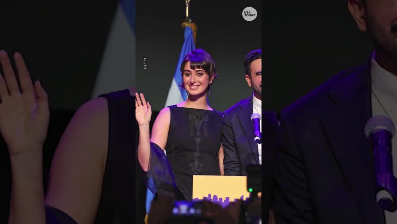 Meet Rama Duwaji, accomplished artist and wife of Zohran Mamdani