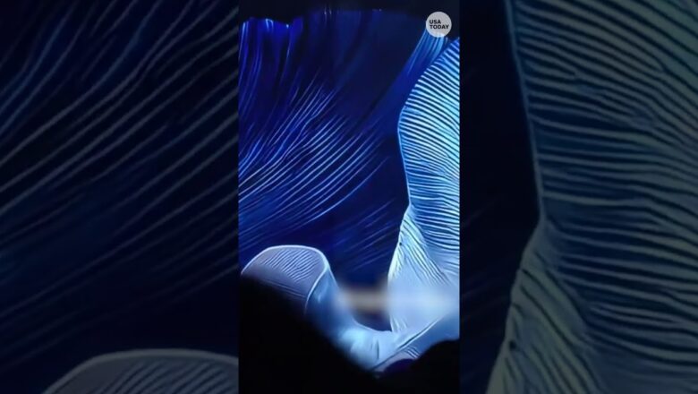 Miss Jamaica falls off Miss Universe stage #Shorts