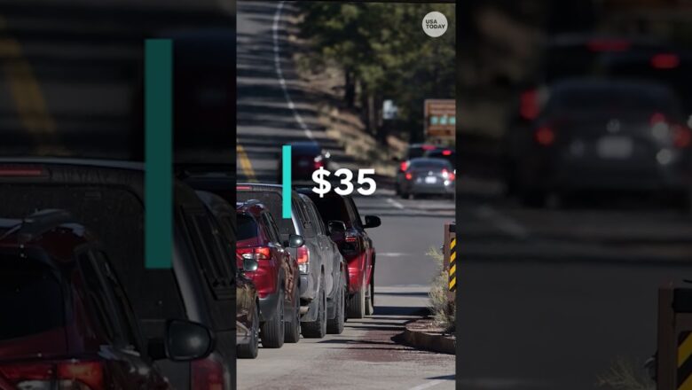 National parks to raise fees for international visitors in 2026 #Shorts