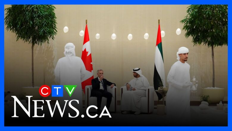 PM Mark Carney arrives in UAE ahead of G20 for key trade talks