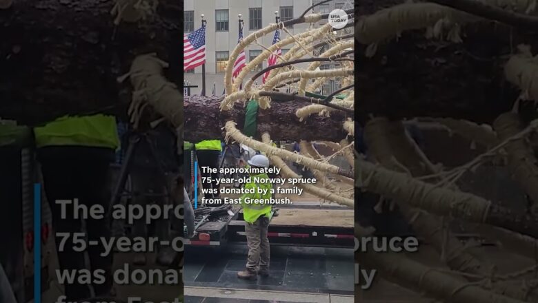Rockefeller Center Christmas tree arrives for holidays