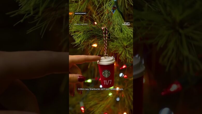 The Starbucks ‘Bearista’ Cup FRENZY Explained in 60 Seconds